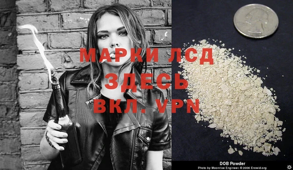 индика Аркадак