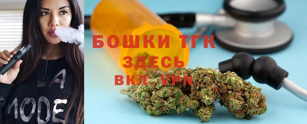 индика Аркадак