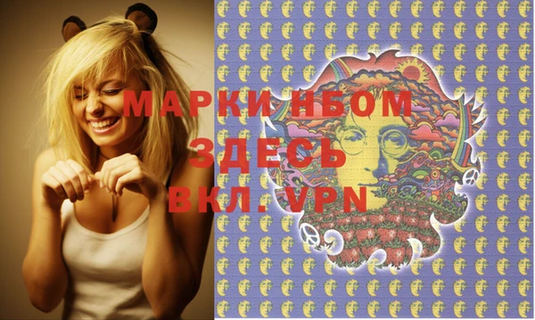 индика Аркадак