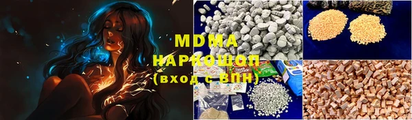 индика Аркадак