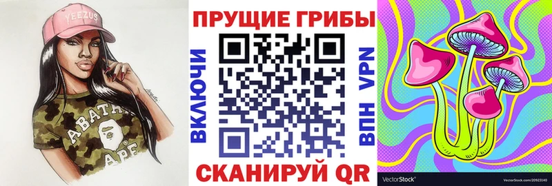 как найти закладки  Елабуга  Псилоцибиновые грибы MAGIC MUSHROOMS 